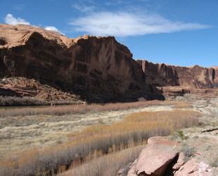 COLORADO RIVER STATE PARK